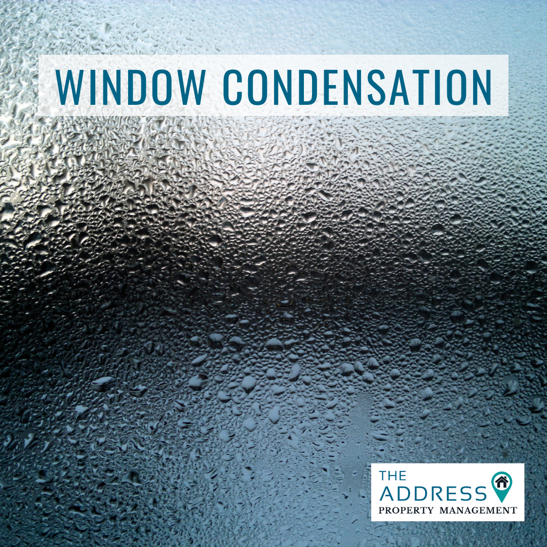 Window Condensation