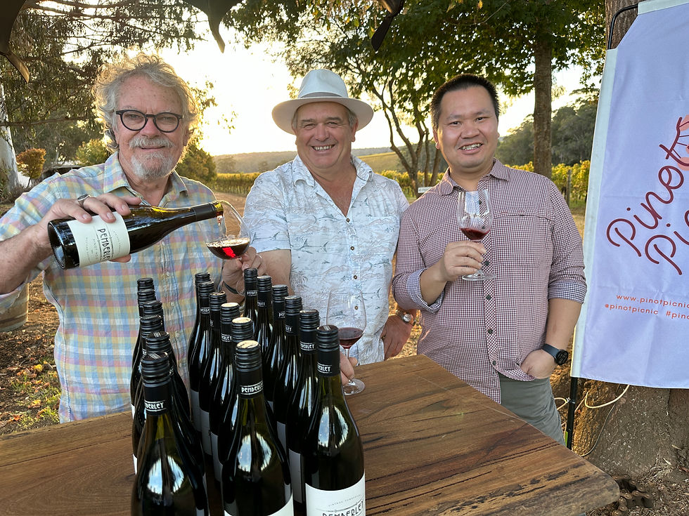 Robert Bowen, David Radomiljac and Michael Ng