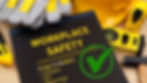 Image To RAMS’s Lite image.jpg