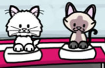 Pet Salon Kitty Care