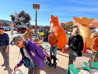 Inflatable Chihuahua for Events