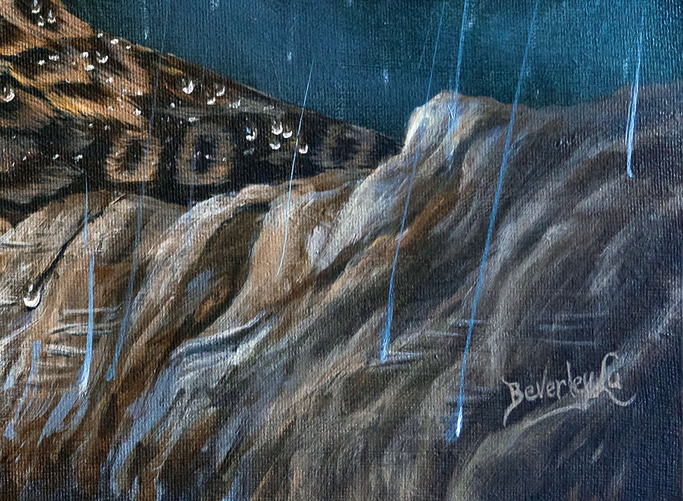 Thumbnail: short eared owl in the midst of rain, fog and sun original painting signature view