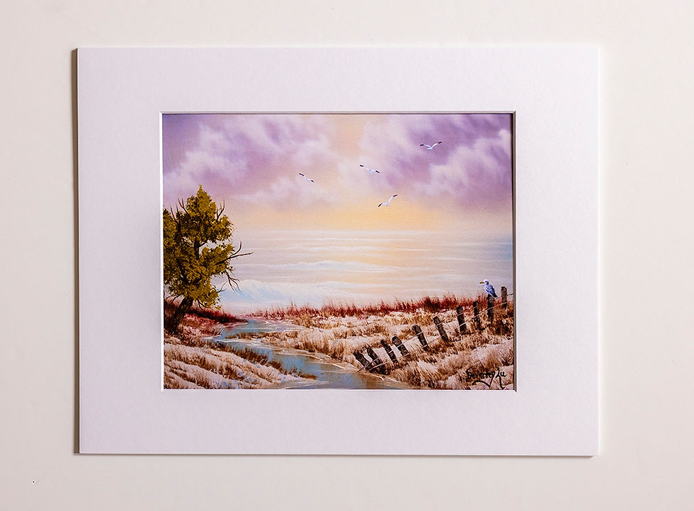 Thumbnail: Gull Beach Print