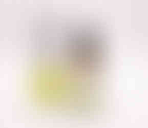 Minimalist skincare product flat lay featuring Ethyl Ascorbic Acid (Vitamin C), Niacinamide, Glycerin, and Citric Acid on marble with green leaves.