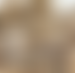 Coconut Vanilla Date Rolls