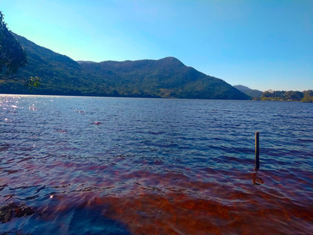 Circuito Ocean estreia temporada em local inédito em Florianópolis