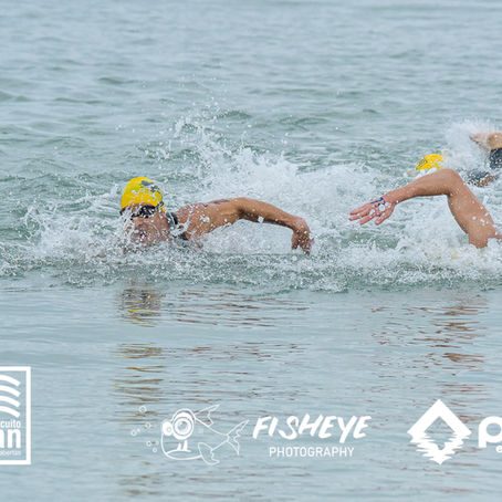 Ritmo de prova na natação em águas abertas