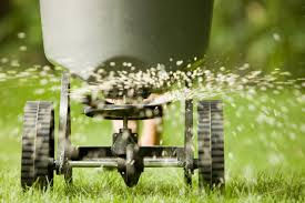 Fertilizing Turf Made Easy: The Perfect Schedule for Your Lawn