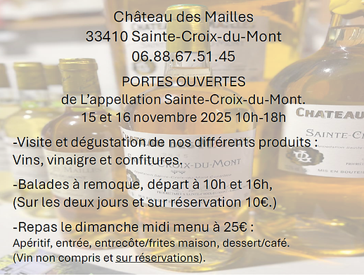 A5 flyers po 15 16-11-2025.png