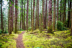 Hobbit Beach/China Creek Loop Trail