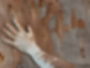 Autoimmune_Diseases_Hero_Banner.jpg