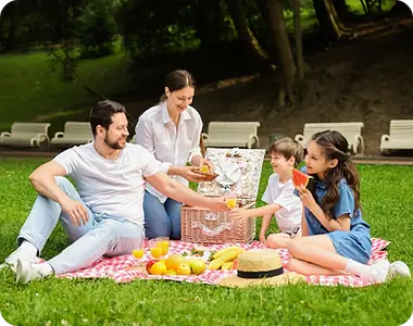 Rectangle 11 (6).webp