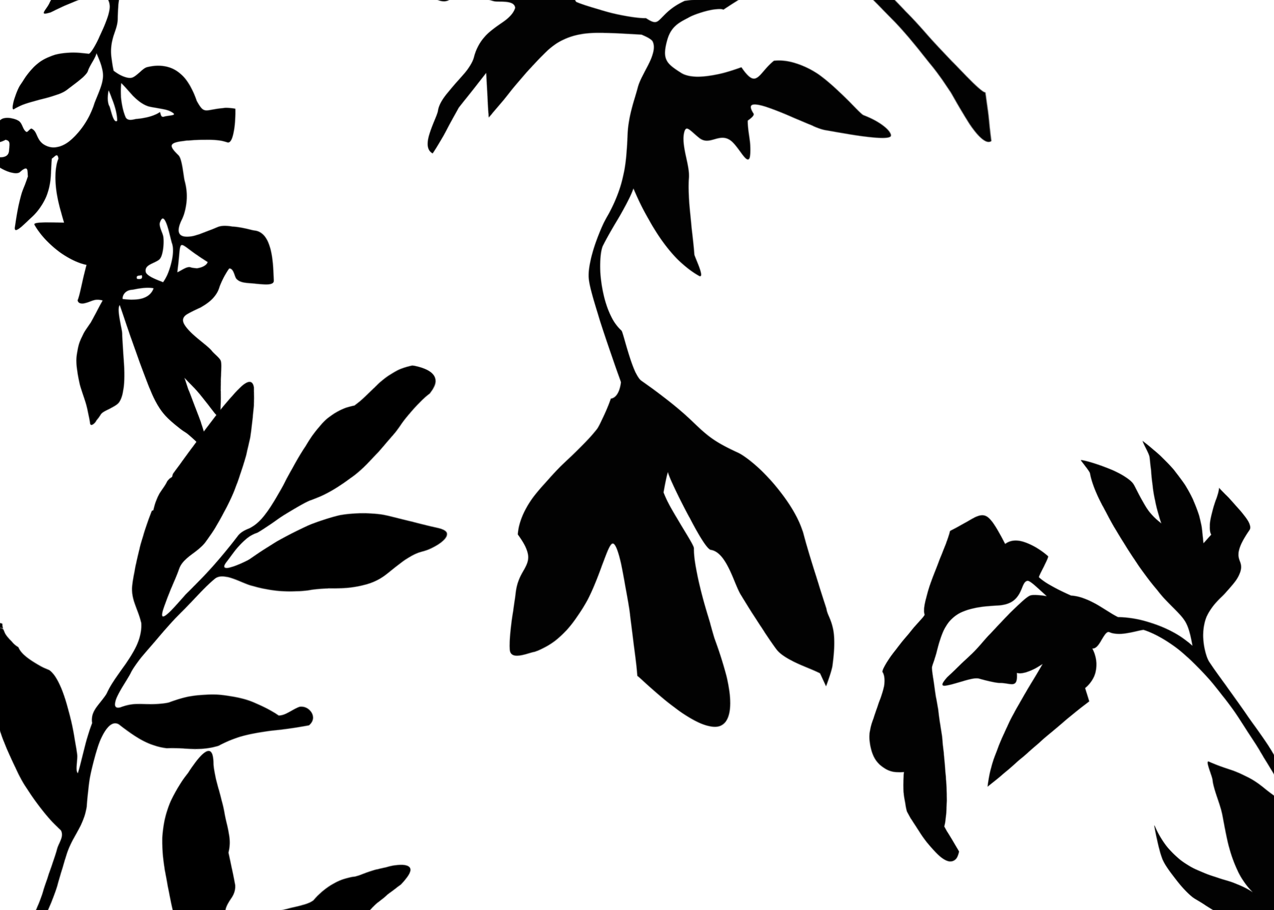 sharp to blurred gif.5 copy.gif