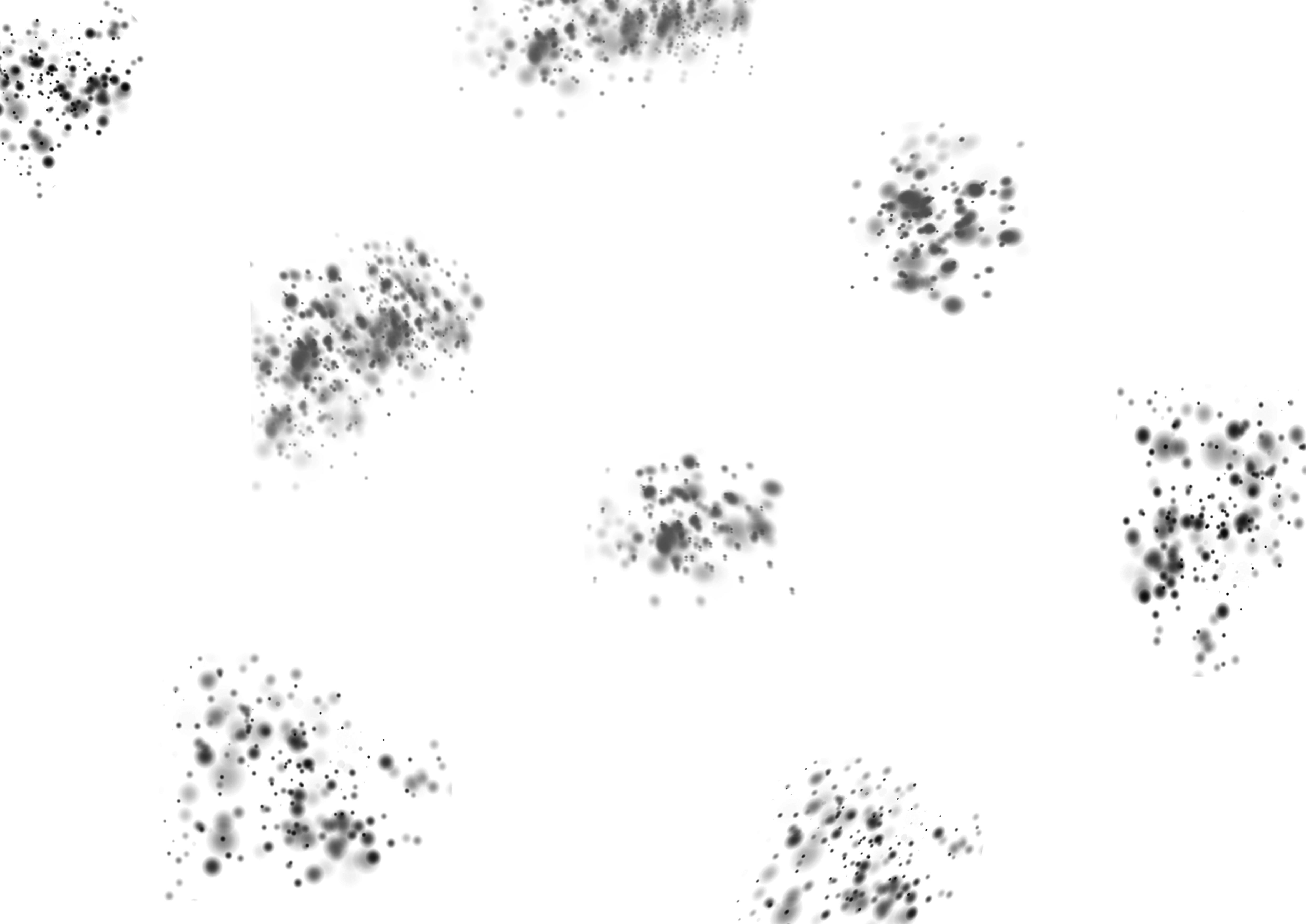 black dappled gif copy.gif