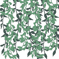 vines white copy.jpg