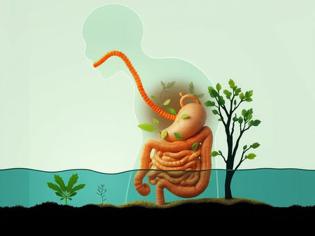 Soulager la digestion et le ventre noué grâce à la réflexologie et au drainage à Arzacq-Arraziguet