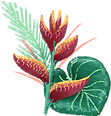 Tropical Flower