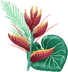 Fleur tropicale