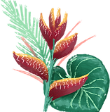 Flor tropical 