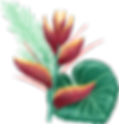 Tropical Flower