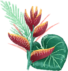Flor tropical