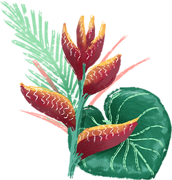 Tropical Flower 