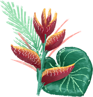 Flor tropical