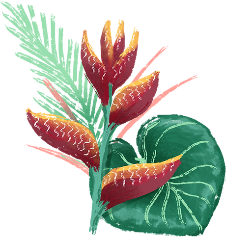 Tropical Flower