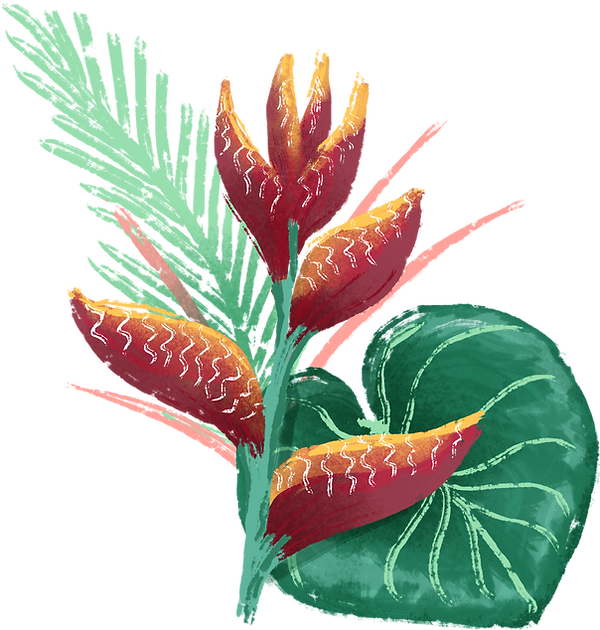 熱帯の花