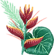 Tropical Flower 