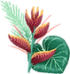 Tropical Flower
