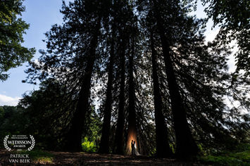 bekroonde creatieve trouwfoto van bruidspaar in een bos