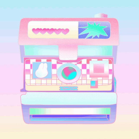 拍到兔了.gif