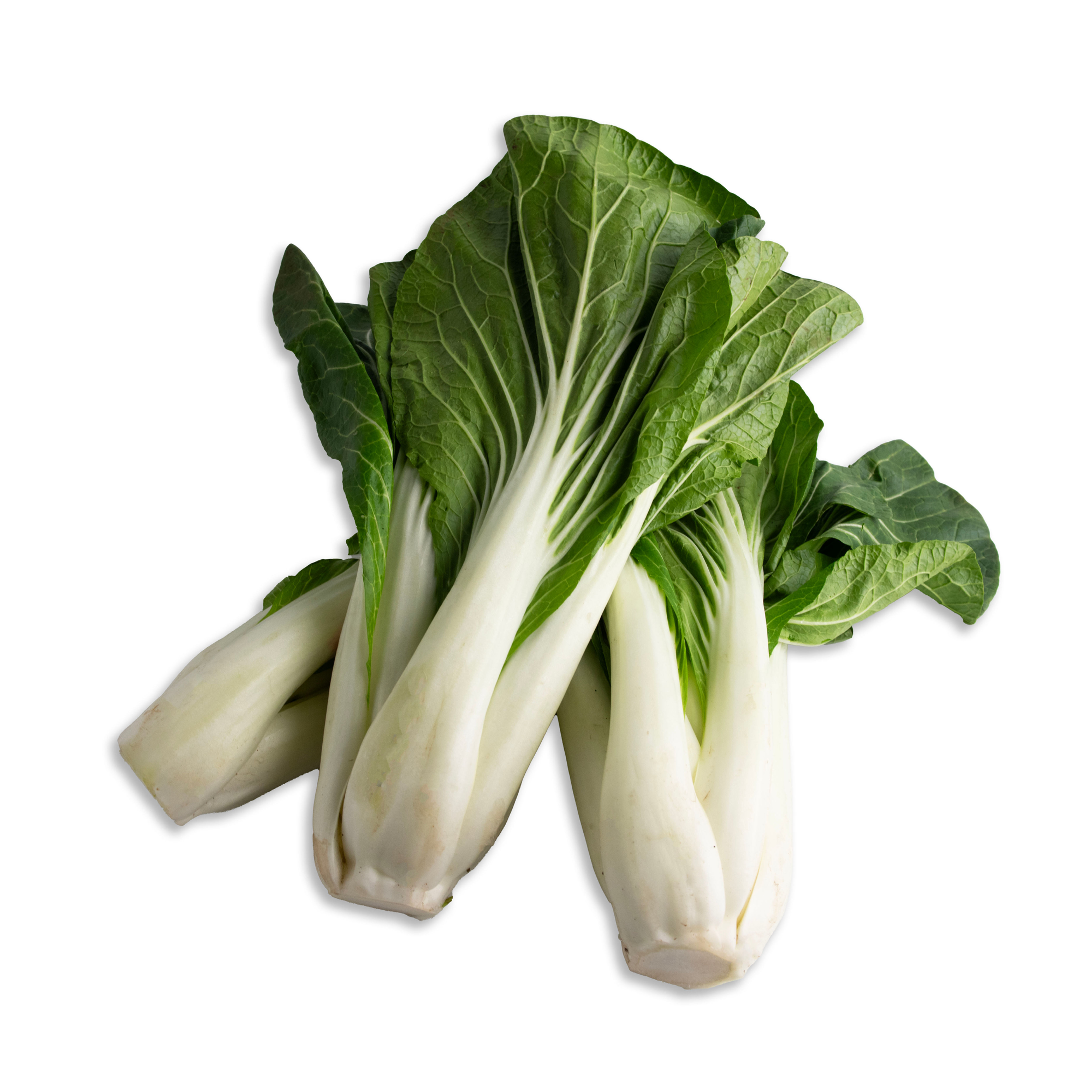 Bok Choy