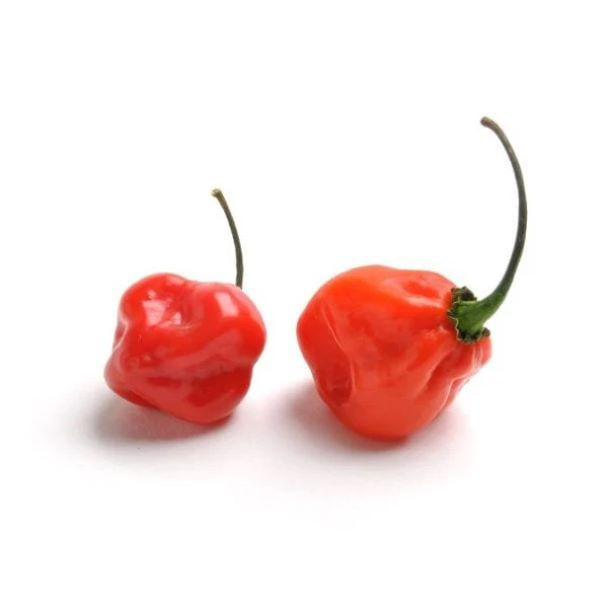 Peppers (Habanero, Red)