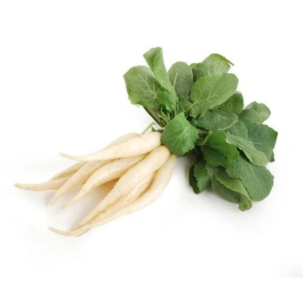 Radish (White Icicle)