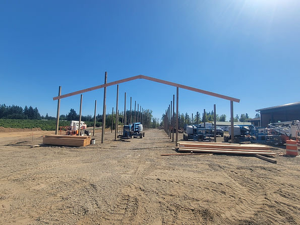 Horse Framing