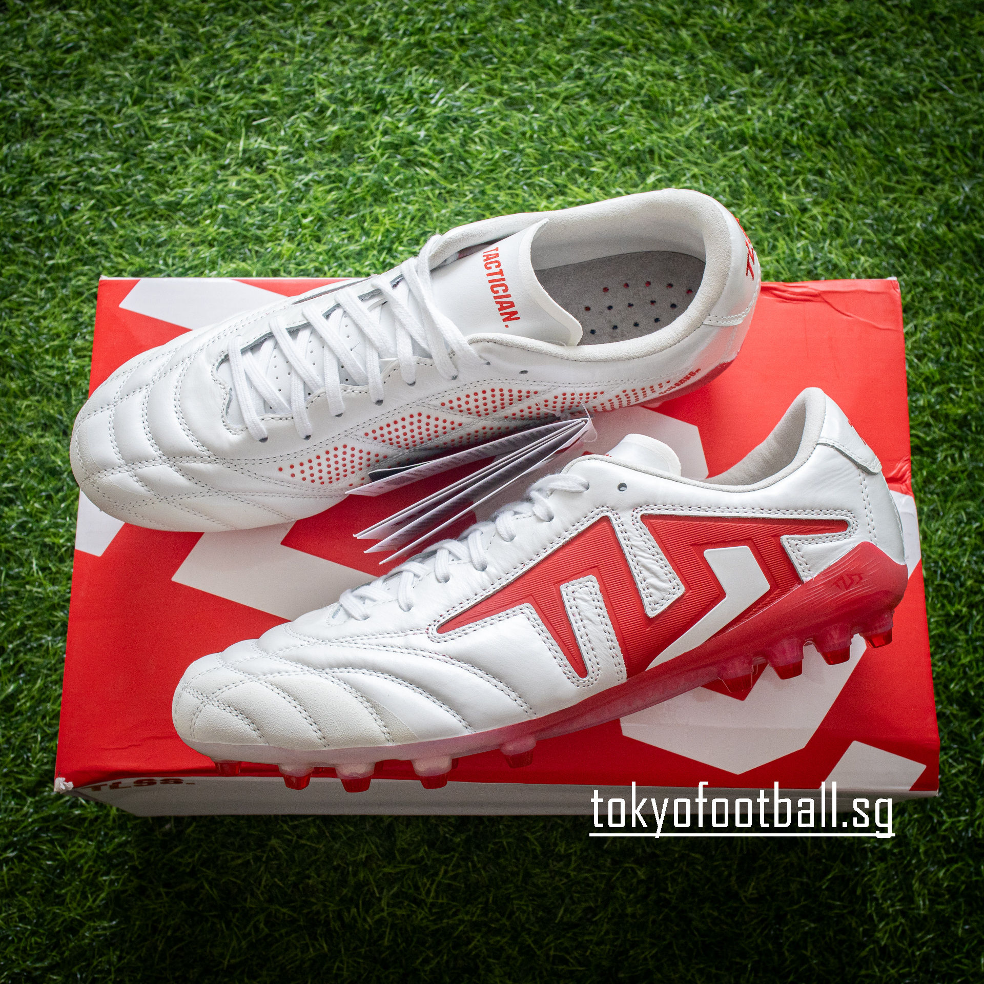 TLSS Tactician GOAT AG