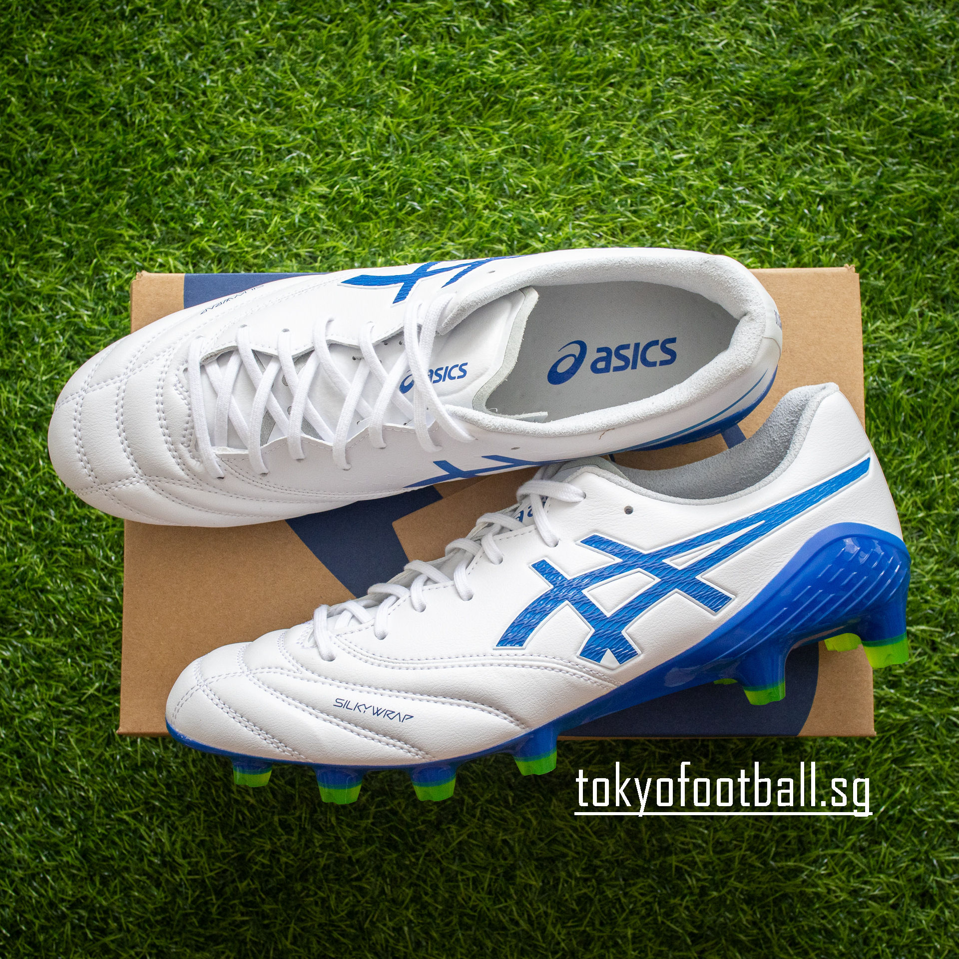 ASICS DS LIGHT X-FLY 6 1101a076-102