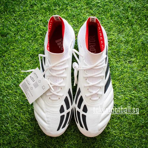 Adidas Predator 19.1 FG ADV '25th Anniversary' EE7864
