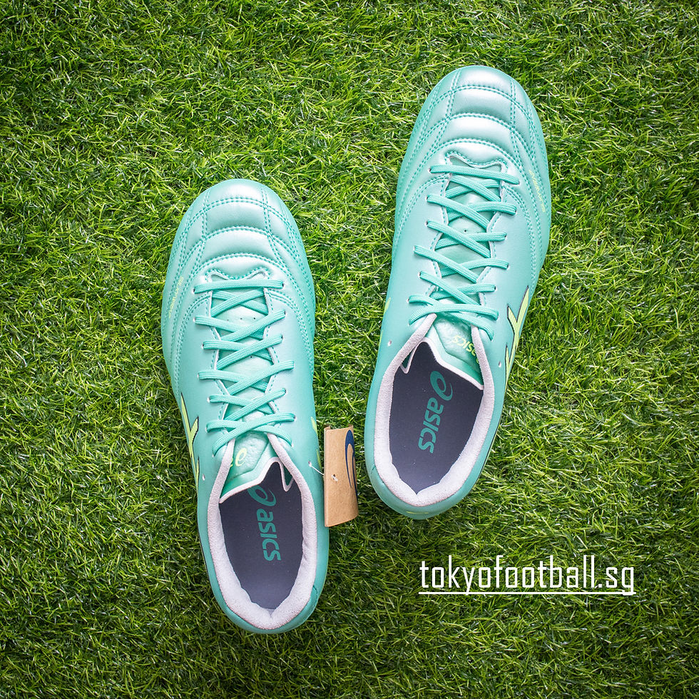 Thumbnail: ASICS DS LIGHT PRO WIDE SILKYWRAP 1103A122-300
