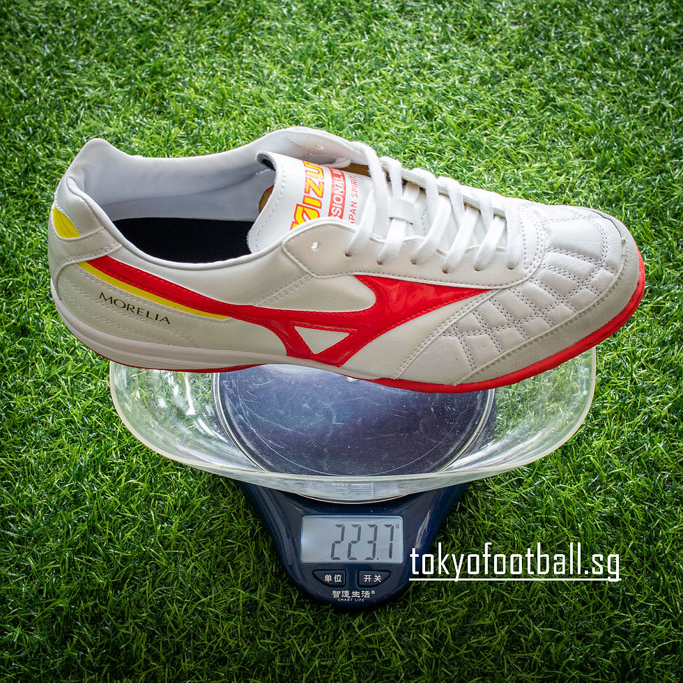Mizuno MORELIA SALA JAPAN TF【26cm】 Mizuno Morelia Sala Japan TF Q1GB210001