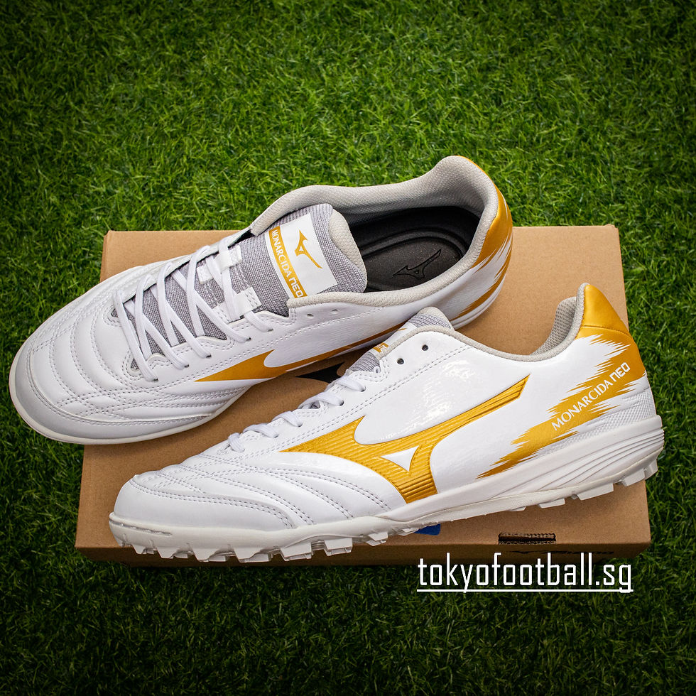 Mizuno Monarcida Neo SALA Pro TF Q1GB232152