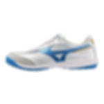 Mizuno Morelia SALA PRO TF q1gb241325