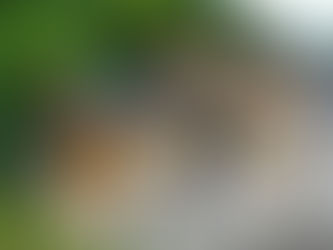 カフェのような小上がりとロケーションが主役の家