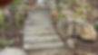 Lifestyle Block Landscaping, Hardscape Design Kerikeri
