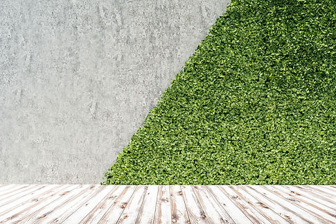 Tuatara Landscapes Grass Turf Northland, Turf Maintenance Services