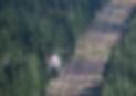 Cropped Benjamin_Krause-7625.jpg