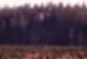 vlcsnap-2022-08-10-10h20m31s969_edited_edited.jpg