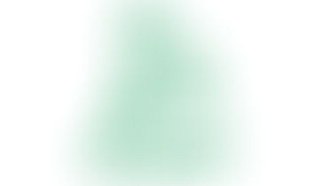 Het verbeteren en door-ontwikkelen van de Blijdorp-organisatie
